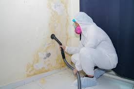 Asbestos and Lead Testing During Mold Inspection in Spooner, WI